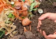 Cara Sederhana Ini Pangkas Sampah Rumah Tangga Drastis, Tanpa Biaya dan Tanpa Ribet