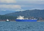 Respons Positif Iran, Pemerintah Godok Teknis Lintas Aman Kapal Pertamina di Selat Hormuz