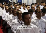 Jangan Asal Daftar! Ini yang Harus Dipenuhi PPPK Jika Ingin Mengikuti Seleksi CPNS 2026