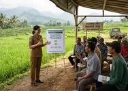 38 Ribu ASN Penyuluh Pertanian Dialihkan, BKN Pastikan Tepat Sasaran Demi Swasembada Pangan Nasional