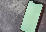 Intip Penyebab Green Screen pada iPhone, Termasuk Seri iPhone 13, Series Pro dan Pro Max