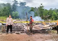 Basecamp Pembibitan Sawit di Konawe Utara Hangus Dilalap Api