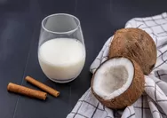 Manfaat dan Cara Konsumsi Susu Kelapa :  Sumber Nutrisi Alami yang Menyehatkan