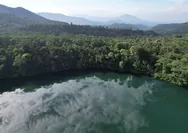 Bak Cermin, Danau Seluas 5 Hektar di Ruteng Diapit 2 Gunung Tertinggi di Manggarai, Habitat Tikus Raksasa Flores