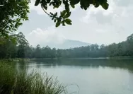 Menguak Laku Tapa Prabu Siliwangi di Hulu Citarum: Jalan Sunyi Sang Raja Menuju Cahaya Islam