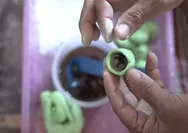 Kampung Klepon Sidoarjo, Warisan Kuliner Nusantara yang Berkembang Berkat BRI