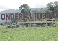 Desa BRILiaN Dorong Transformasi Desa Tompobulu Jadi Desa Wisata Unggulan