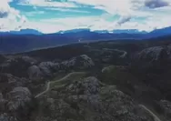 Luar Biasa! Papua  Dipenuhi Keanekaragaman Hayati dan Kekayaan Alam