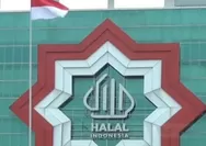 Mengejutkan! Ditemukan Kandungan Babi dalam Produk Bersertifikat Halal