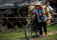 Mimpi di Balik Gerobak