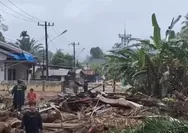 Kayu Gelondongan di Banjir Sumatera Tuai Sorotan, Greenpeace Desak Pemerintah Mereview Izin-Izin Konsensi