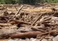 Kerusakan Lingkungan Membawa Bencana, Prabowo Klaim Akan “Sikat Maling-Maling” Perusak Hutan, KSP Buka Suara