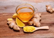 Ini manfaat jamu sebagai penyeimbang sistem tubuh, manfaat lainnya seperti ini