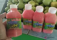 Benarkah jus jambu dapat menaikkan trombosit pasien dengue, ternyata begini jawaban dokter