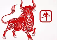 Peruntungan Shio Kerbau menurut ramalan di tahun 2026, Anda bagaikan gunung, teguh, tenang, dan siap untuk bangkit