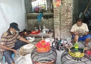 Sangkar derkuku asal Sedayu Bantul biasa menjadi doorprize lomba derkuku bergengsi tingkat nasional seperti Piala Raja