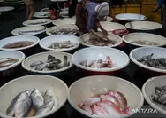 Ini pentingnya protein untuk proses tumbuh kembang anak, simak penjelasan dokter