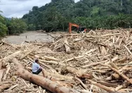 Kampus di Yogya Ramai-ramai Bantu Mahasiswa Terdampak Bencana, Berikan Biaya Hidup hingga Pembebasan SPP