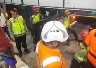 Membahayakan, Polsek Gamping Evakuasi Sarang Tawon Vespa di Gamping