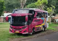 Dugaan Pemalakan di Bangsring Underwater Banyuwangi, Bus Diancam dan Dilarang Tinggalkan Lokasi Wisata Sebelum Bayar Rp150 Ribu