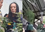 Viral Skandal Budidaya Ganja di Rumah Kontrakan Jombang: Polisi Sita 110 Pohon hingga 5,3 Kg Daun Basah