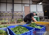 Pakan Satwa di Bandung Zoo untuk Sementara Ditanggung Kemenhut