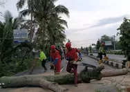 Hujan lebat dan angin kencang terjang Sleman, puluhan pohon tumbang dan rumah warga rusak