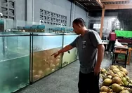 Cita rasa olahan ikan segar lebih mantap, ABC Warung Sunda Gamping punya akuarium penampungan aneka ikan, ini alasannya