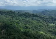 Kelompok Pegiat Anti Korupsi Endus Aroma Pelanggaran Hukum Pada Proses Lahan Kompensasi PT BSI, Satgas PKH Diminta Turun Tangan