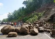Jalur Clongop Gunungkidul Longsor Lagi, Waspada Ada Retakan Tanah Sepanjang 50 Meter