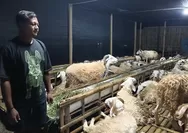 Raih berkah dengan meneruskan usaha orang tua, mulai jual-beli sandal maupun domba dan catering aqiqah