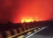 Viral! Kebakaran Besar di Tumbang Nusa Kalteng, Langit Merah Seperti Lautan Api