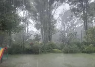 Hujan Deras di Purwakarta: Waspada Cuaca Ekstrem, Ini 8 Tips Agar Tubuh Tetap Sehat dan Kuat