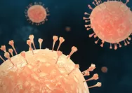 Jadi Sorotan Internasional, Ternyata Hantavirus Sudah Terdeteksi di Sumbar dan 8 Provinsi Lainnya