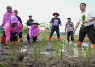 Munjirin Pimpin Gerakan Tanam Serentak di 162 Titik, Perkuat Ketahanan Pangan Jakarta Timur