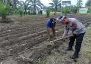 Dukung Swasembada Pangan, Polsek Kunto Darussalam Turun Langsung ke Lahan Pertanian Masyarakat