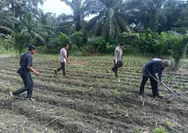 Polisi Cinta Petani Jadi Motor Ketahanan Pangan di Kunto Darussalam Rohul