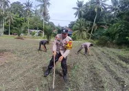 Polsek Kunto Darussalam Turun Kelapangan, Gencarkan Program Polisi Cinta Petani