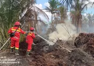 Lakukan Pemadaman Karhutla di Pasir Limau Kapas dan Kandis, Tim Manggala Agni Terkendala Cuaca Panas Ekstrem