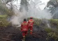 Ini Perkembangan Hasil Upaya Pemadaman Karhutla di Riau pada Hari ke-3
