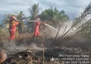 Tantangan Terberat Penanganan Karhutla di Riau Terdapat di Pelalawan