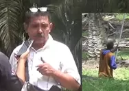 Disorot, Dugaan PTPN IV Kebun Gunung Monako Abaikan APD dan Seragam Dinas Pemanen Sawit