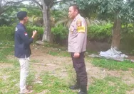 Bhabinkamtibmas Sei Lembu Makmur Laksanakan Peninjauan Lahan Jagung Pipil, Wujud Nyata Program Nasional