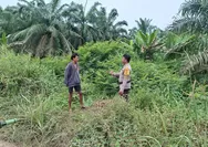 Antisipasi Karhutla, Polsek Batu Hampar Gencarkan Patroli dan Edukasi Maklumat Kapolda Riau