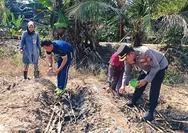 Dukung Program Ketahanan Pangan, Polsek Rengat Barat Tanam Kembali Lahan Gagal Panen Akibat Cuaca