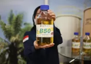 Mengenal Kelebihan dan Kekurangan B50, yang Telah Resmi Dipasarkan