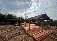 Bongkar Sawmill Ilegal di Kampar, Polda Riau Sita Ratusan Batang Kayu Hasil Illegal Logging