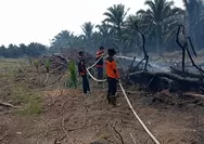 Antisipasi Karhutla, Forkopimda Riau Keluarkan Maklumat Berisi 6 Poin Penting