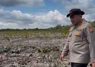 Kapolda Riau Cek Langsung Lokasi Perusakan Mangrove Seluas 118 Hektare di Rohil, 2 Pelaku Ditangkap