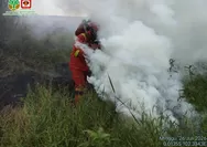 Sebagian Besar Area di Lokasi Karhutla Mak Teduh Pelalawan Sudah Berhasil Diamankan